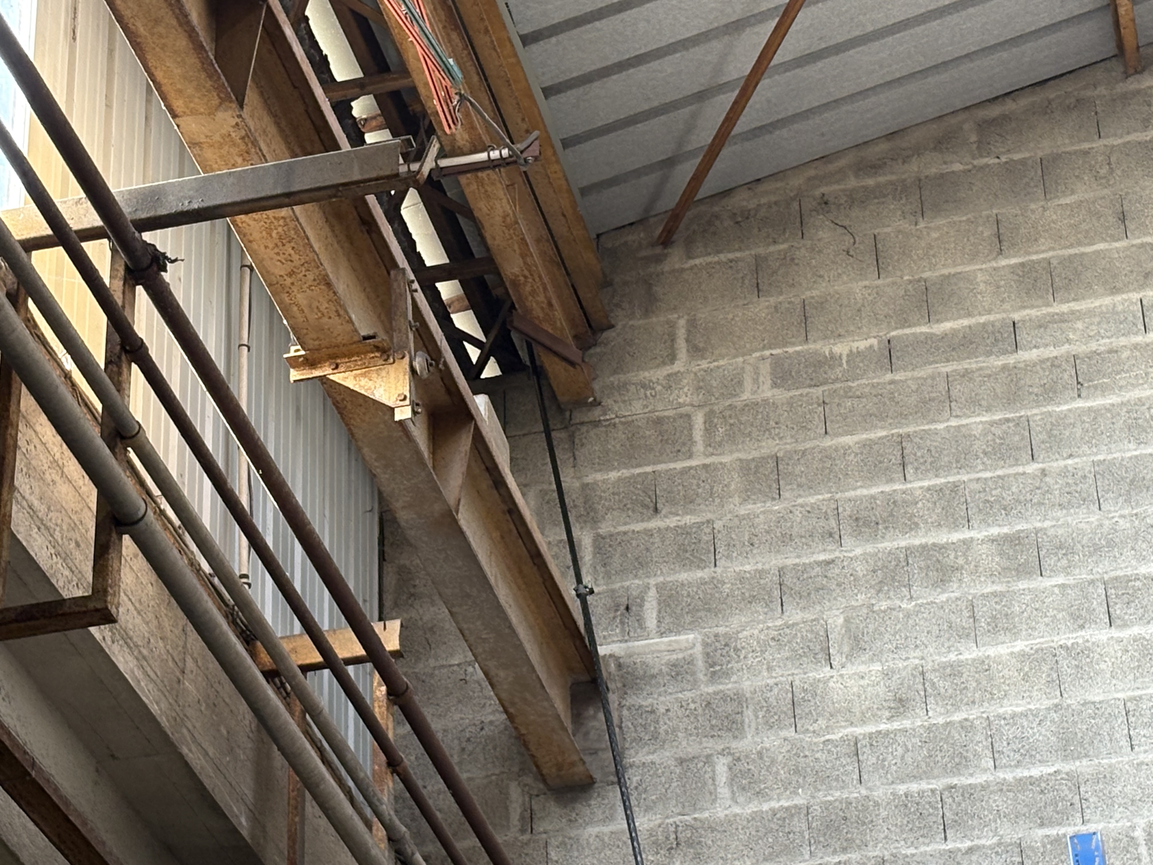 Dépigeonnage par tir dans un entrepôt à Brest